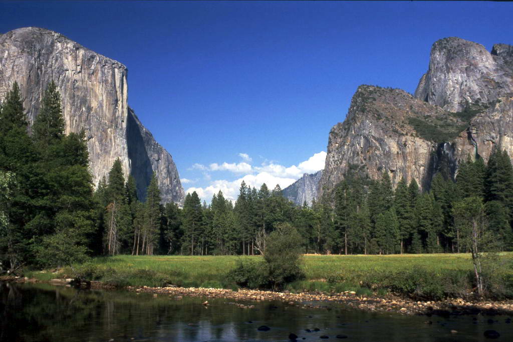 The President, A Muir & The Buffalo Soldiers In Yosemite – Green ...